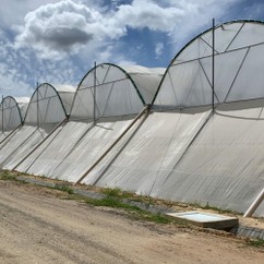 2023-1 - Farms - #1.jpg